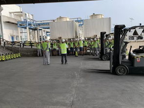 津門添趣 食品工廠里的叉車地牛競(jìng)技賽